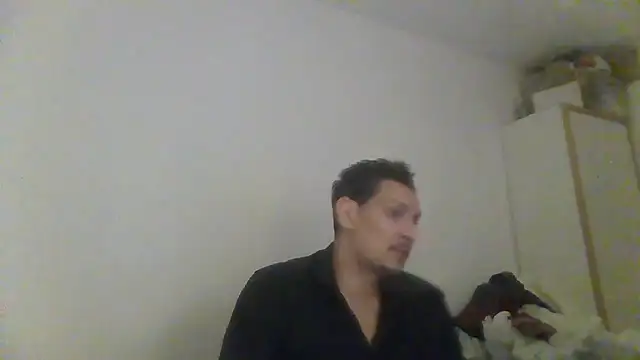 ARTANIS20 online show from 05/29/26, 12:19