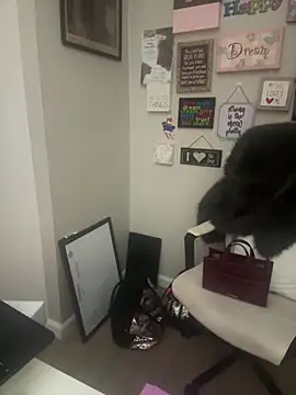 Snapshot of Juicystorm chatting on 02/11/26, 01:10 Juicystorm online show from 02/11/26, 01:10