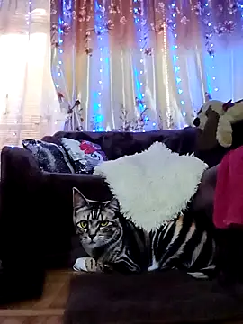 SquirtMilf00 online show from 02/18/25, 07:10