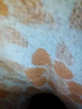 ParousFlow online show from 04/15/26, 10:10