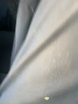 curis4270panda online show from 02/17/26, 11:00