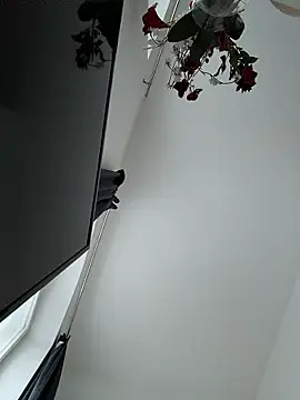 SexyLeon8 online show from 01/14/26, 03:06