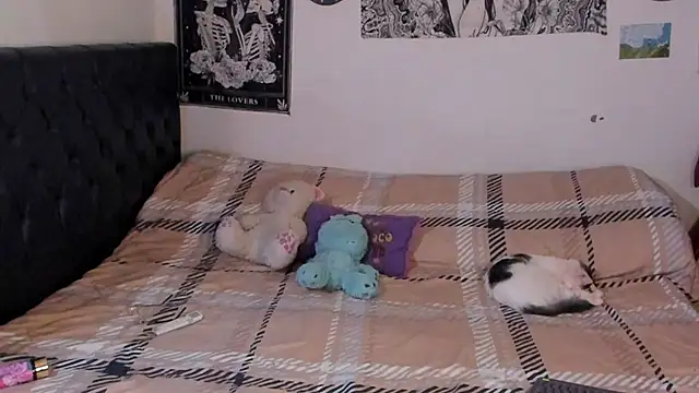 Snapshot of chloe_kisses chatting on 09/25/25, 11:47 chloe kisses online show from 09/25/25, 11:47