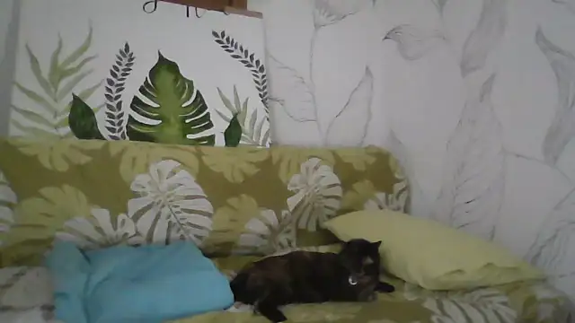 Catty Lady online show from 09/27/25, 06:35