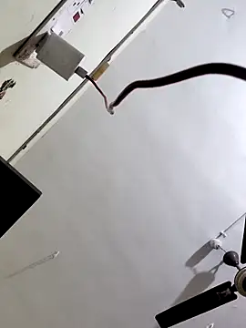 papukurty online show from 10/07/25, 03:14