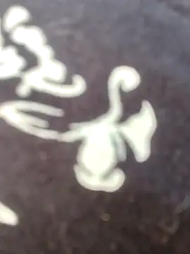 papukurty online show from 02/22/26, 12:15