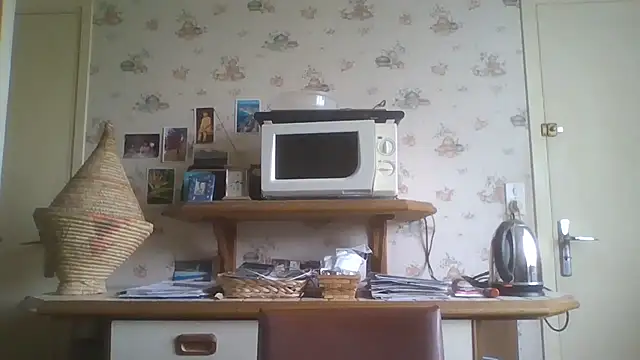 Snapshot of gegevincent chatting on 05/02/26, 11:37 gegevincent online show from 05/02/26, 11:37