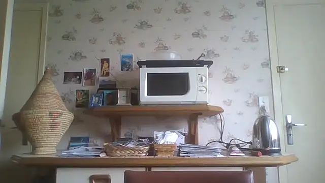 Snapshot of gegevincent chatting on 05/03/26, 11:27 gegevincent online show from 05/03/26, 11:27