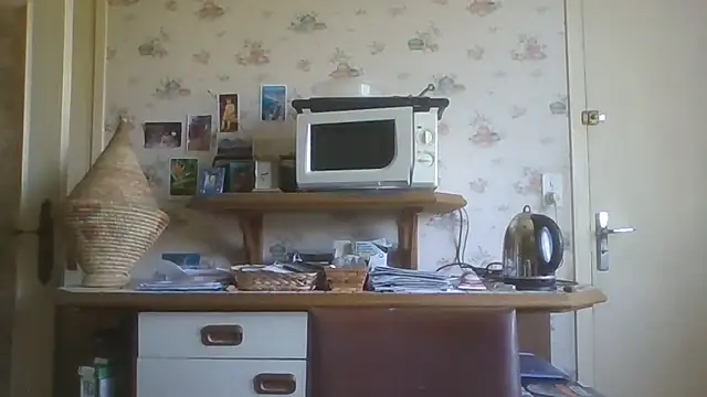 gegevincent online show from 06/14/26, 10:28