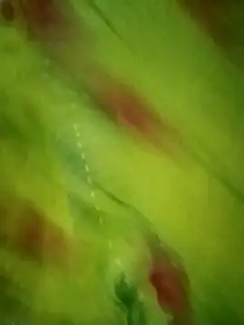 Shiya janu online show from 10/27/25, 11:14