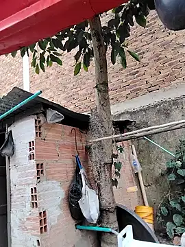 You-sexy-starr online show from 10/09/25, 04:38