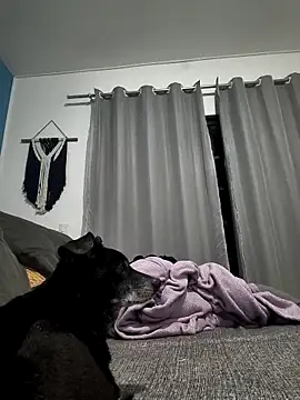 Snapshot of mikeara90 chatting on 10/22/25, 10:31 mikeara90 online show from 10/22/25, 10:31