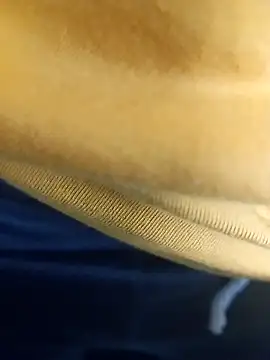 pauzudao 12 online show from 03/03/26, 09:31