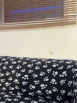 cody fox10 online show from 04/14/26, 01:17