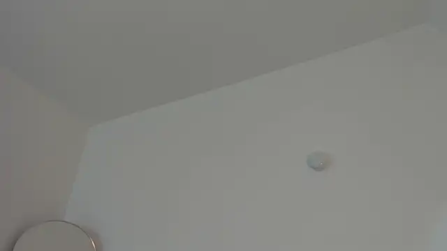 Taylormaxwell online show from 12/01/25, 08:58