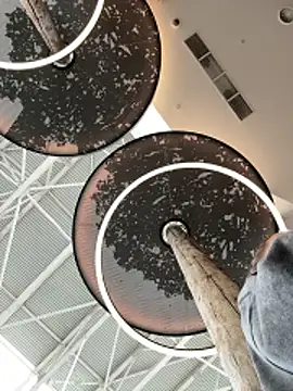 StephanieMur online show from 10/12/25, 04:44