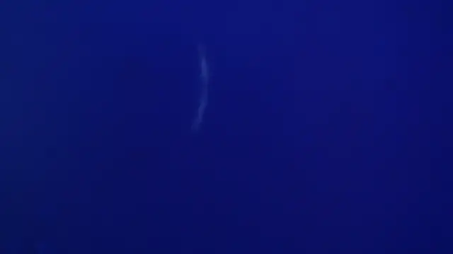 Snapshot of The1BBC chatting on 02/12/26, 04:13 The1BBC online show from 02/12/26, 04:13