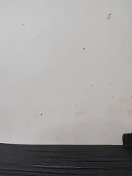 Telugu person12 online show from 02/28/26, 05:08