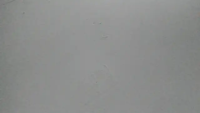 Sophia Ebony online show from 02/25/26, 12:04