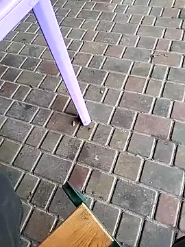 Odecca11 online show from 11/23/25, 08:25