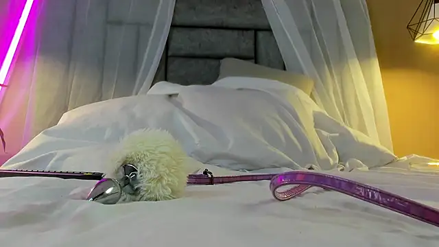 Brenda lot online show from 11/13/25, 08:52