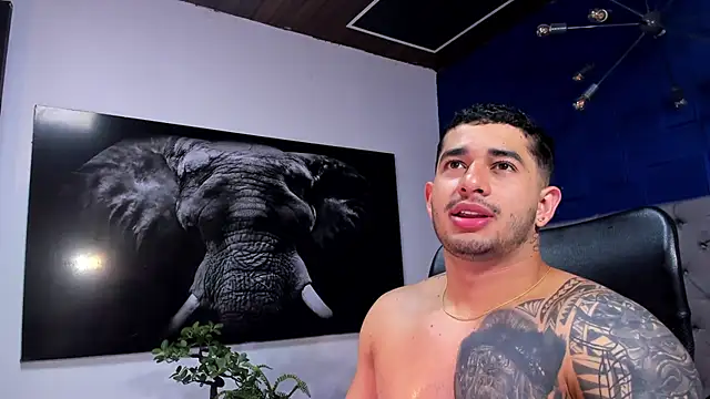 king falconer online show from 01/06/26, 03:54