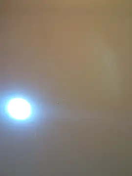 Oriana111 online show from 03/12/26, 12:00