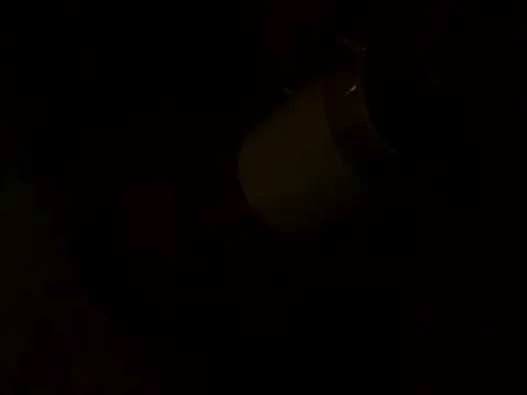 PointXXL online show from 12/16/25, 02:33