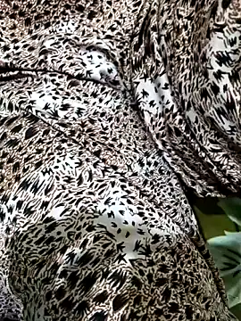 Dassing strip couple online show from 04/05/26, 10:34