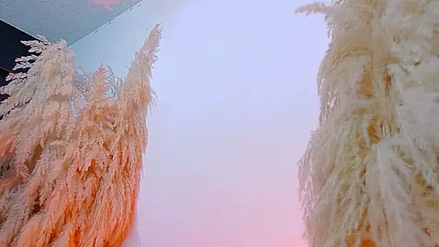 JulietaDavis online show from 02/19/26, 08:10