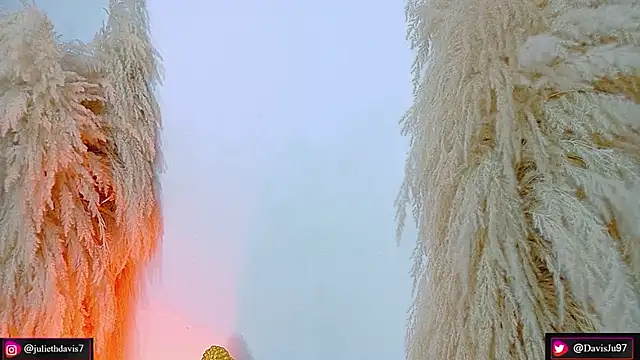 JulietaDavis online show from 04/17/26, 09:34