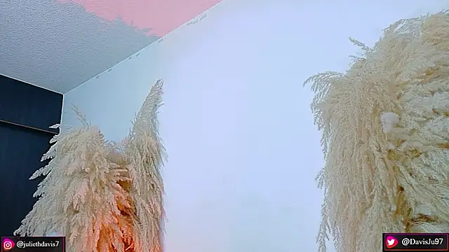 JulietaDavis online show from 04/20/26, 09:34