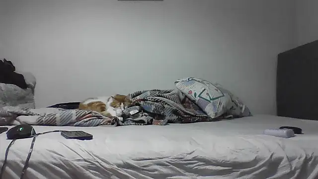 Snapshot of kocasosisli chatting on 05/30/26, 05:43 kocasosisli online show from 05/30/26, 05:43