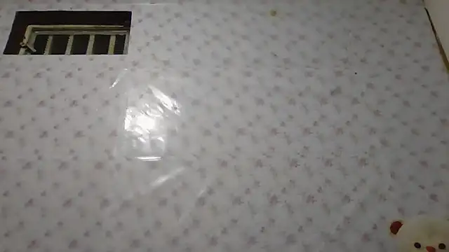 Roselingalvis13 online show from 01/14/26, 02:28