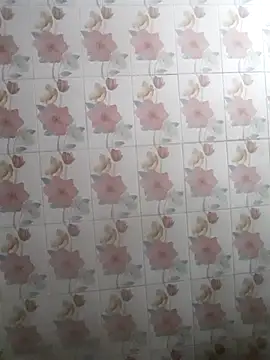 bhaijaan66 online show from 11/25/25, 07:03