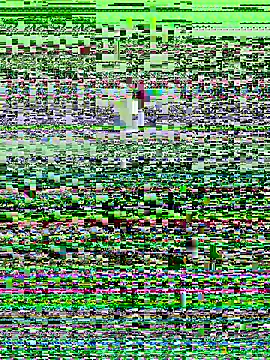 haiyan125216 online show from 09/09/25, 01:16