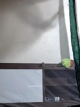 Snapshot of Maria2299 chatting on 11/06/25, 05:36 Maria2299 online show from 11/06/25, 05:36