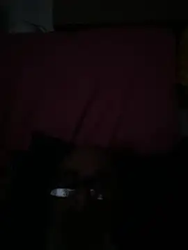 crisfootlicker online show from 07/28/26, 09:25