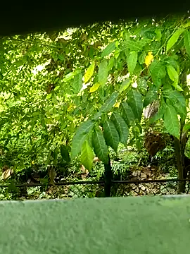 Exoticovergon online show from 03/12/26, 12:55