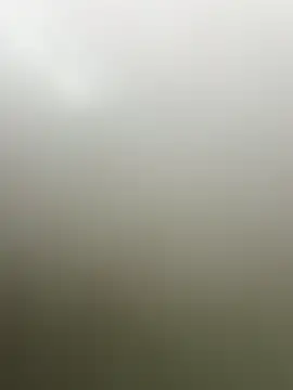 guridosul051 online show from 04/20/26, 11:13