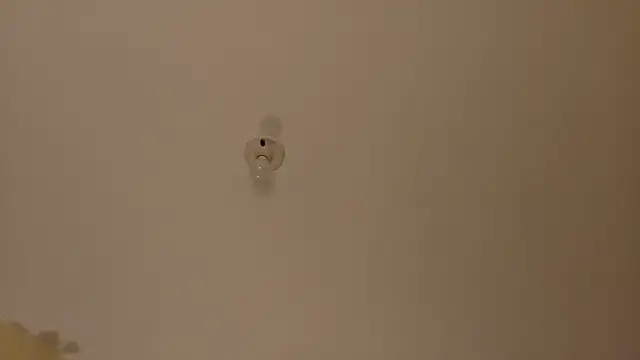 Amanda sweet online show from 10/17/25, 01:03