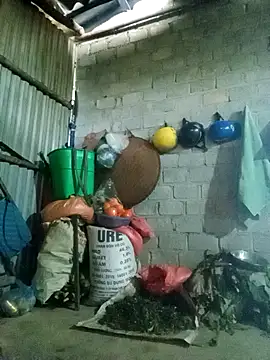 jienrrr online show from 02/18/26, 12:28