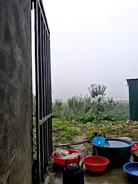 Snapshot of yoowwmr chatting on 11/12/25, 12:11 yoowwmr online show from 11/12/25, 12:11