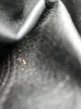 legaros online show from 10/19/25, 08:04