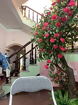 Bollozzy 89 online show from 09/24/25, 04:49