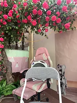 Bollozzy 89 online show from 10/04/25, 04:54