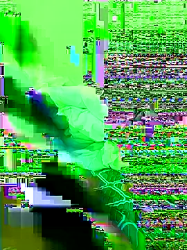 Bollozzy 89 online show from 11/21/25, 06:34