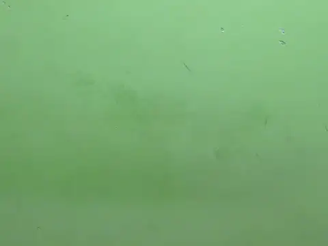 rockyy23boy online show from 10/15/25, 10:26