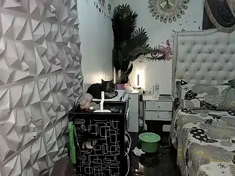 janecomander online show from 03/02/26, 08:54