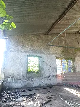 Snapshot of Sunny_cute_love chatting on 10/06/25, 03:04 Sunny cute love online show from 10/06/25, 03:04